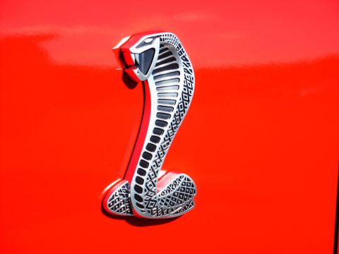 2001 Mercury Grand Marquis - Close-up of a silver cobra emblem with intricate detailing on a red surface.