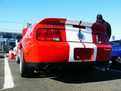 2001 Mercury Grand Marquis - A red Ford Mustang Shelby with white racing stripes is parked on a track with a person standing behind it.