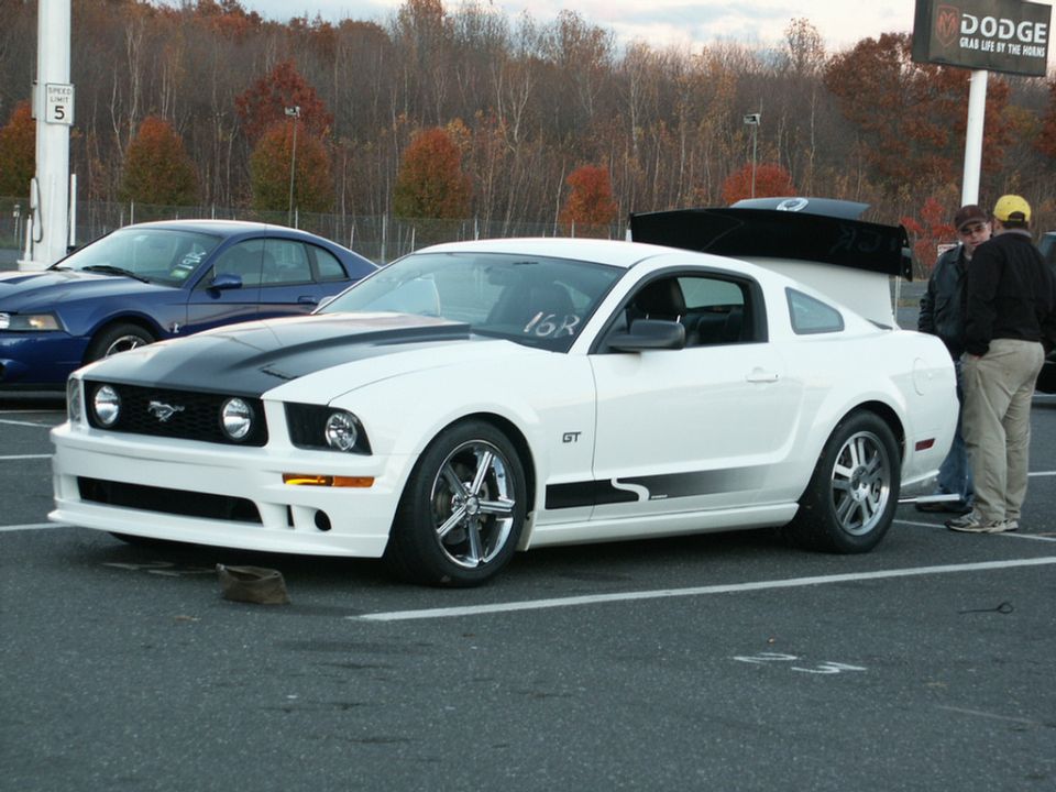 White Ford Mustang GT with black hood stripes and side decals parked next to a blue Ford Mustang