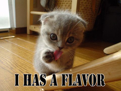 1991 Ford Probe - A cute kitten is captured in a close-up shot as it licks its paw, with the humorous text 'I HAS A FLAVOR' overlaid on the image.