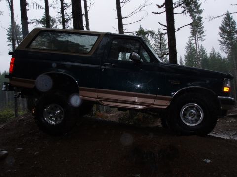 1995 Ford Bronco - Time to do some trimming.