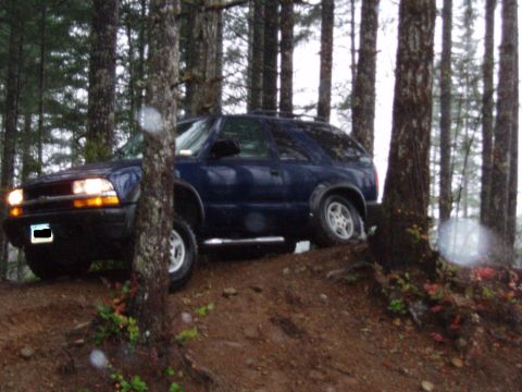 1995 Ford Bronco - A blue SUV navigates a wooded area with a dirt path.