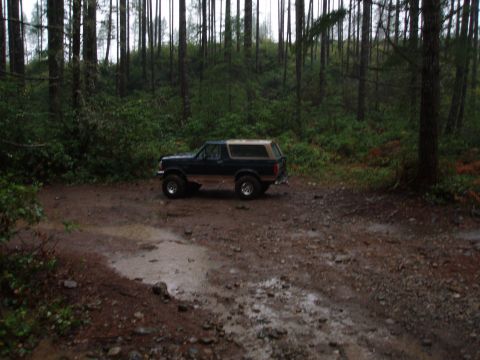 1995 Ford Bronco - A 1995 Ford Bronco is parked on a wet, muddy road in a forest.