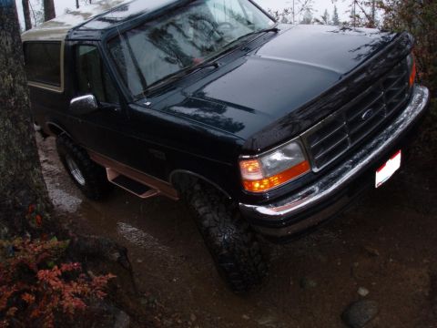 1995 Ford Bronco - Dark green 1995 Ford Bronco navigating a wet, wooded off-road path.