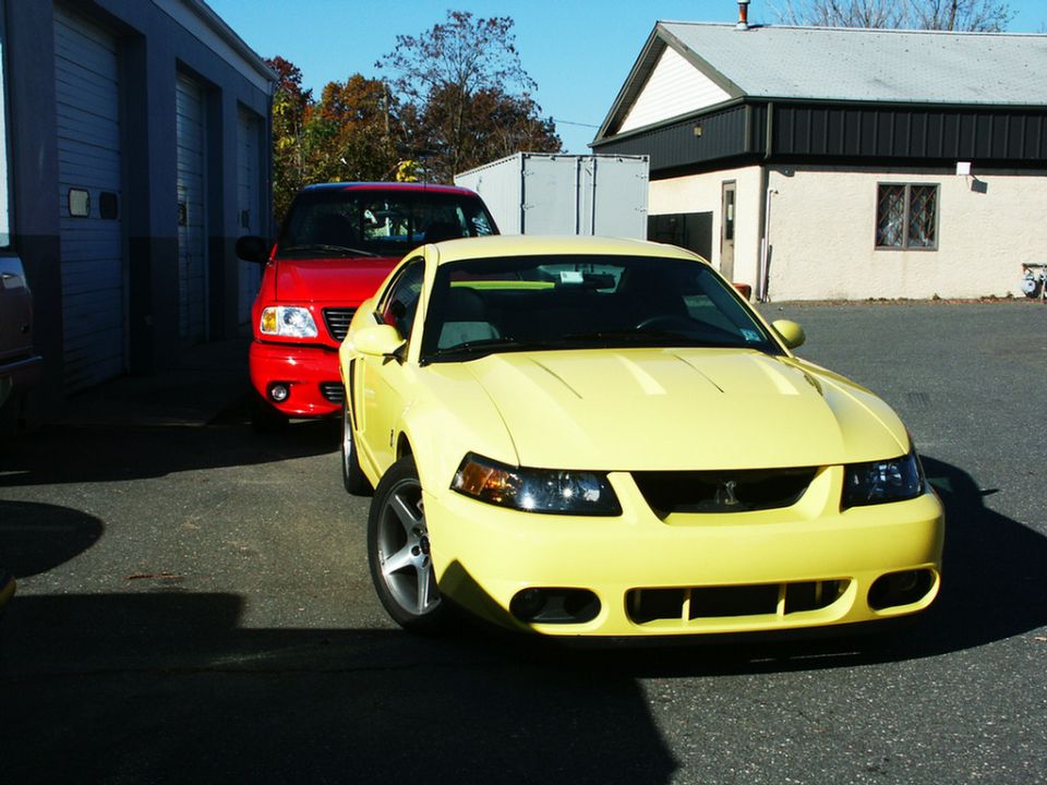 Yellow Ford Mustang parked in front of a red Ford F-150, with a building in the background