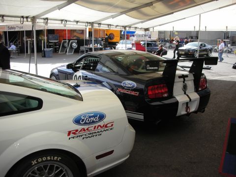1998 Ford Crown Victoria - White and black Mustangs with Ford Racing decals and tall rear wings sit lined up under an event tent.