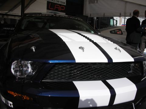 1998 Ford Crown Victoria - front of a dark Mustang with white racing stripes shows Cobra snake emblems on the grille and hood.