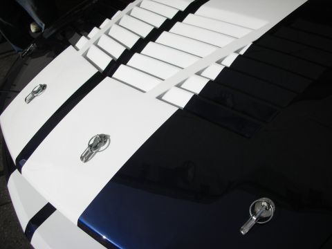 1998 Ford Crown Victoria - hood of a dark Mustang with white racing stripes is fitted with chrome hood pins, viewed at a low angle.