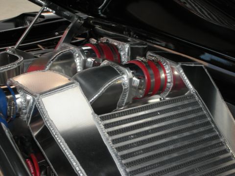 1998 Ford Crown Victoria - polished aluminum intercooler and intake plumbing joined by red silicone couplers fill a glossy black engine bay.