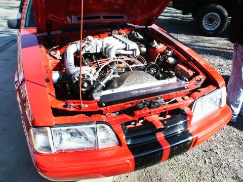 2001 Mercury Grand Marquis - The engine bay of a red car is open, revealing the engine components and a black and red striped bumper.