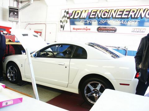 2001 Mercury Grand Marquis - White Ford Mustang SVT Cobra coupe on chrome wheels with hood up inside a shop under a JDM Engineering Ford Specialist banner.