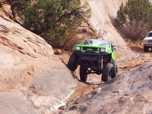 dallas in teh wedge