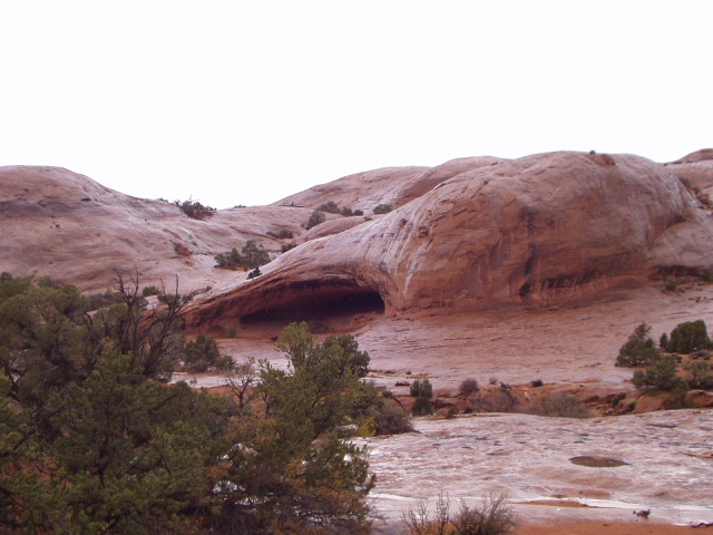 Red sandstone rock formations with a shallow alcove and juniper trees under gray sky