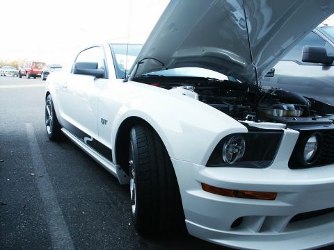 2001 Mercury Grand Marquis - A white Ford Mustang GT is parked with its hood up, showing the engine bay. Other vehicles are visible in the background.