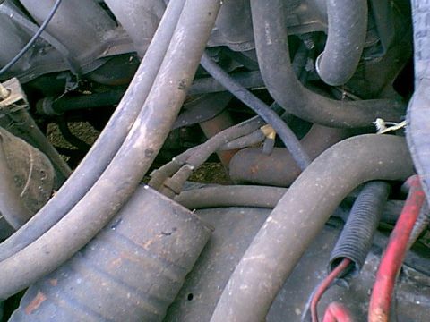 1983 Ford Bronco - here is a view of the pass side of the motor. you can see the dual exhaust manifolds.