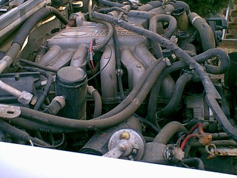 1983 Ford Bronco - here is the top of the pass side motor.