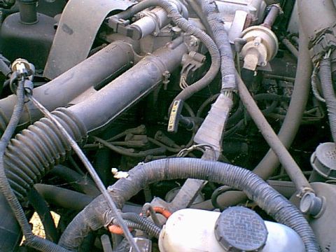 1983 Ford Bronco - here is the drivers side of the motor.