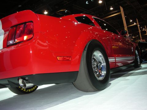 1998 Ford Crown Victoria - Low-angle rear view of a red Ford Mustang Shelby with a white stripe and a Goodyear drag slick tire.