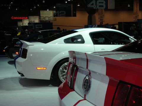 1998 Ford Crown Victoria - white Ford Mustang with a thin red stripe sits beside a red-and-white striped Mustang on an indoor show floor.