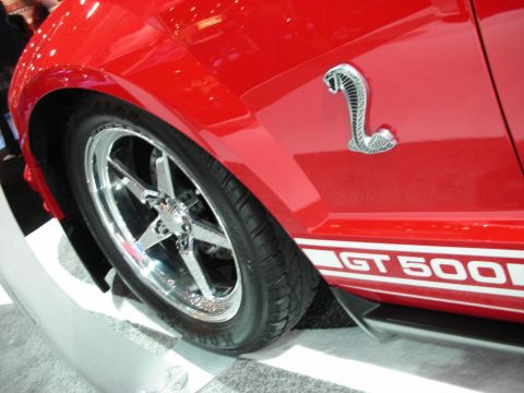 1998 Ford Crown Victoria - Front quarter of a red GT500 with a chrome five-spoke wheel, a silver Cobra snake fender badge and a white GT 500 stripe.