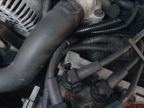 1994 Ford Thunderbird - Close-up view of engine components, including spark plug wires and hoses.