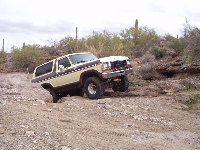 Two-tone tan and brown Ford Bronco crawling desert rocks by saguaros