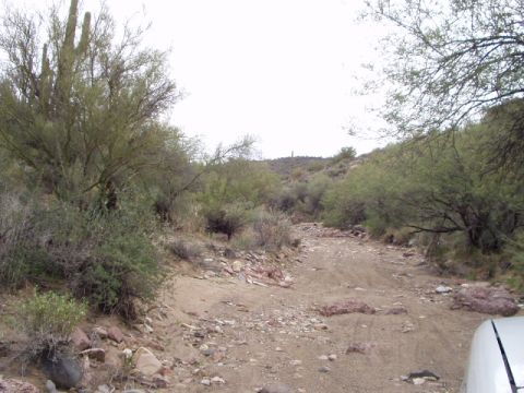 1993 Ford Bronco - towards the end of the trail