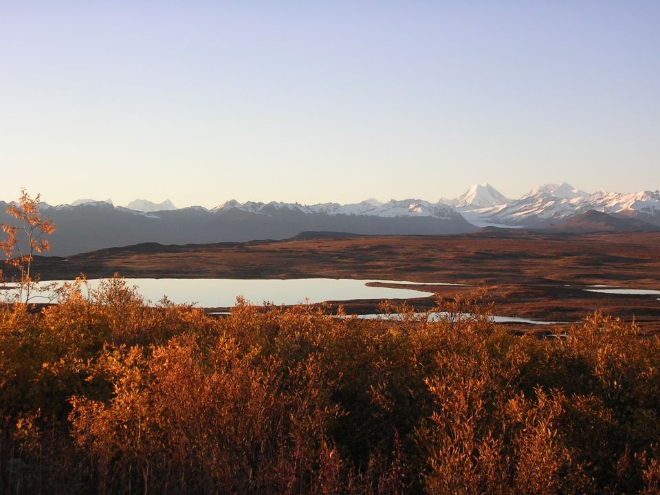 Mountain range with snow-capped peaks behind a lake and autumn bushes