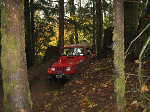 1990 Ford Bronco - Jeep Wrangler tackling an off-road trail in a wooded area.