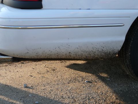 1997 Mercury Grand Marquis - Close-up of a dirty white car bumper and tire, showing the lower body panel and wheel.