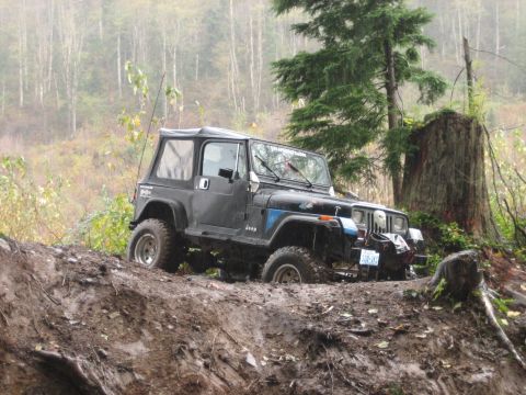 1990 Ford Bronco - Off-roading Jeep Wrangler navigating a muddy incline with a large tree stump nearby.