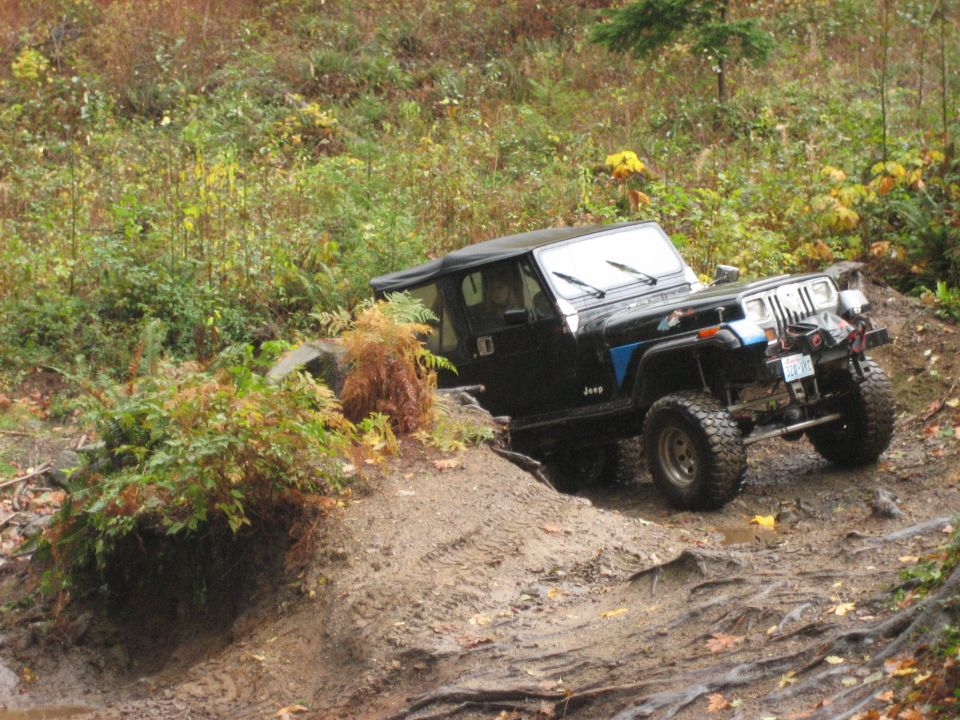 Black Jeep Wrangler navigating a muddy trail with dense foliage