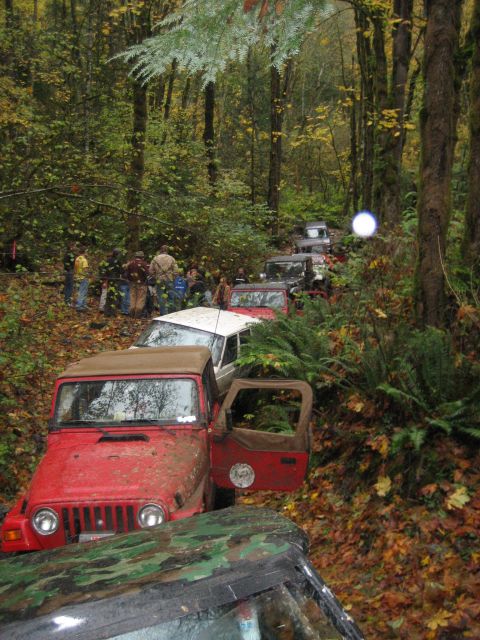 1990 Ford Bronco - A line of off-road vehicles navigates a wet, leaf-covered path through a dense forest.