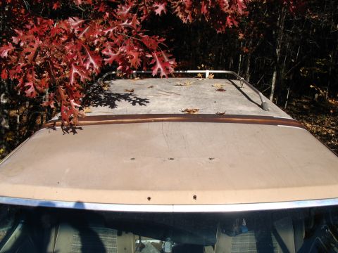 1984 Ford Bronco - A tan car roof with a silver roof rack is visible, partially obscured by red autumn leaves.