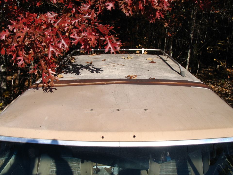 Tan car roof with a silver roof rack, seen from above, with red autumn leaves overhead