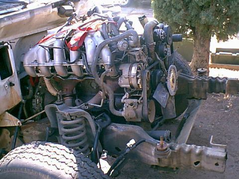 1983 Ford Bronco - here it is after the bath. i just wanted to get the loose stuff off.