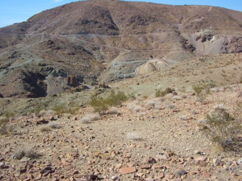 1985 Ford Bronco - A vast desert scene unfolds with arid hills and scattered vegetation under a bright sky.