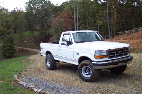 1995 Ford F-150 photo