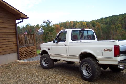 1995 Ford F-150 photo