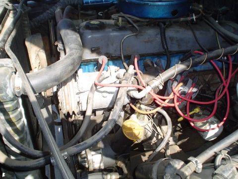 1983 Ford Bronco - Here is the motor as i got it.