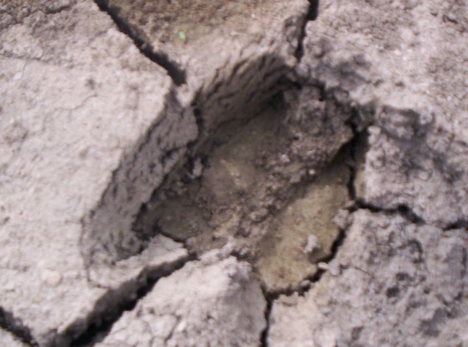 Cracked dry earth with a deep impression, possibly a footprint