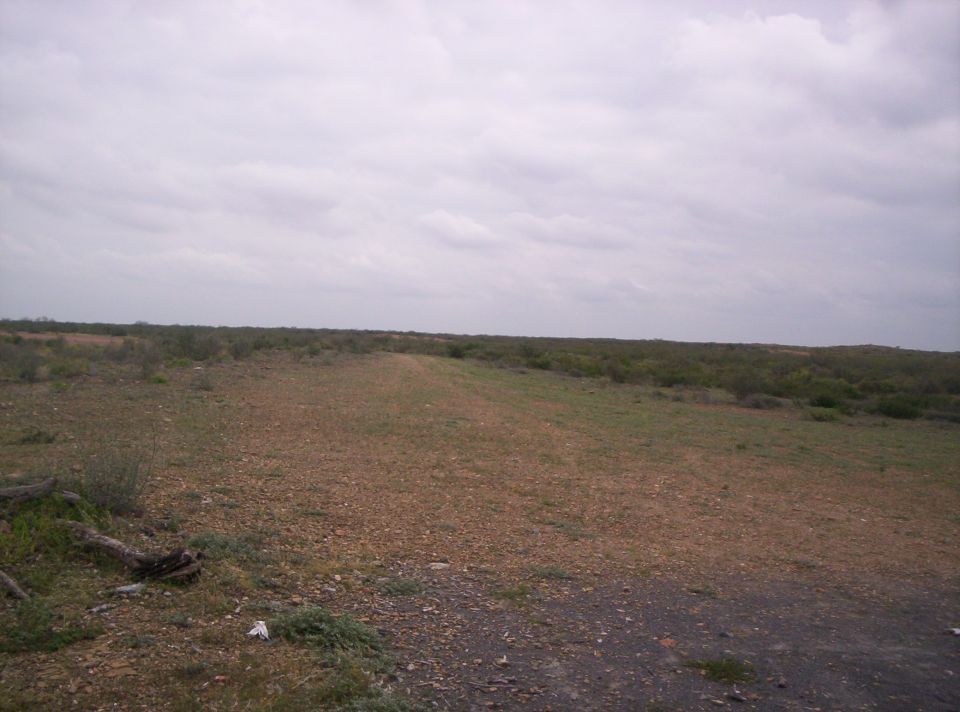 Overcast sky over a barren landscape with sparse vegetation and a dirt path