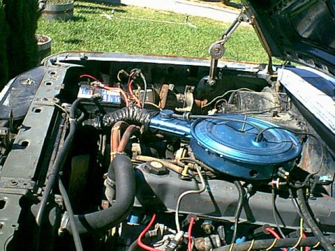 1983 Ford Bronco - here is another view of how she came.