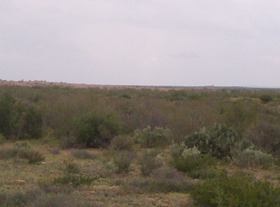 Overcast sky above a wide expanse of dry scrubland with scattered bushes and low vegetation
