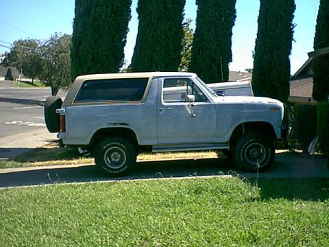 1983 Ford Bronco - Here she is just delevered to me.