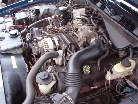 1999 Ford Crown Victoria - The engine compartment of a 1999 Ford Crown Victoria is shown, with various hoses, wires, and engine components visible.