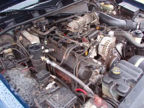1999 Ford Crown Victoria - Close-up view of a V8 engine bay, showing various components and wiring harnesses.