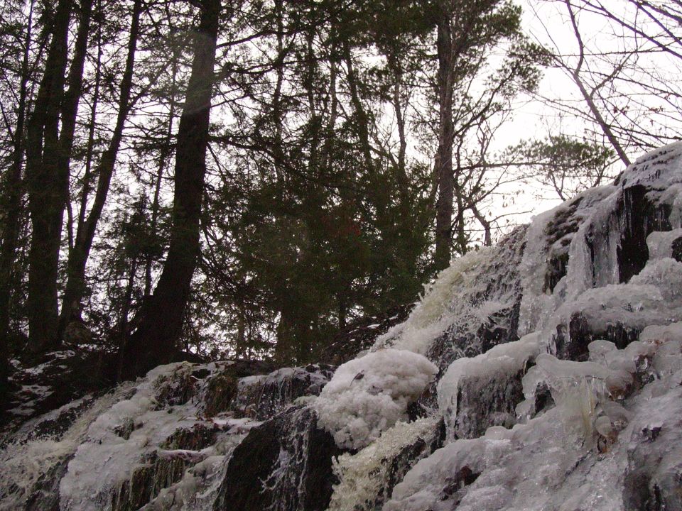 Frozen waterfall with trees and ice formations