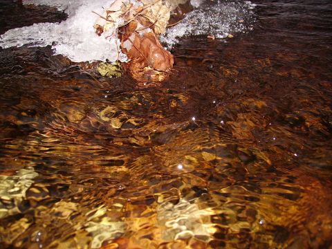 2000 Chevrolet Tahoe - A close-up view of a stream with ice and autumn leaves along the edge.