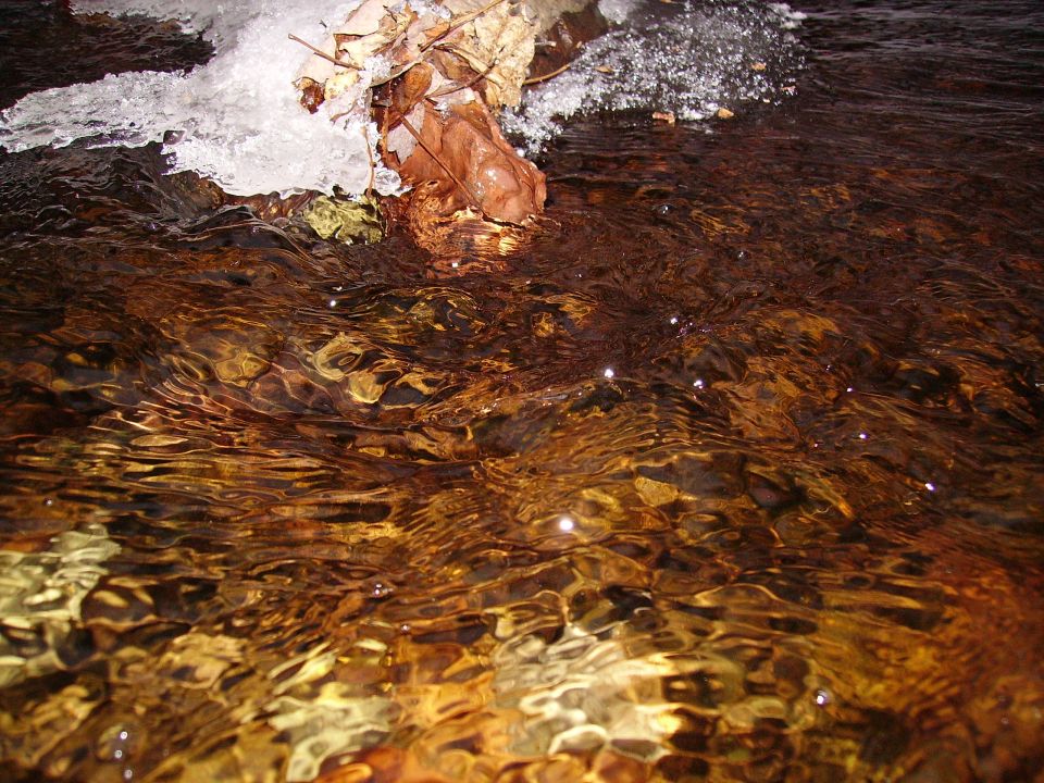 Water flowing over rocks with ice and fallen leaves on the bank